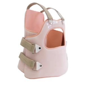Corset Bivalvo